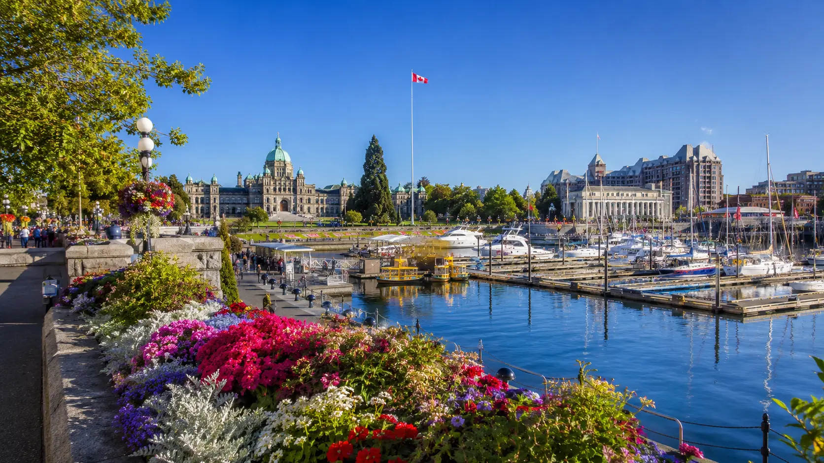 Pacific Pro appliance repair in Victoria, BC
