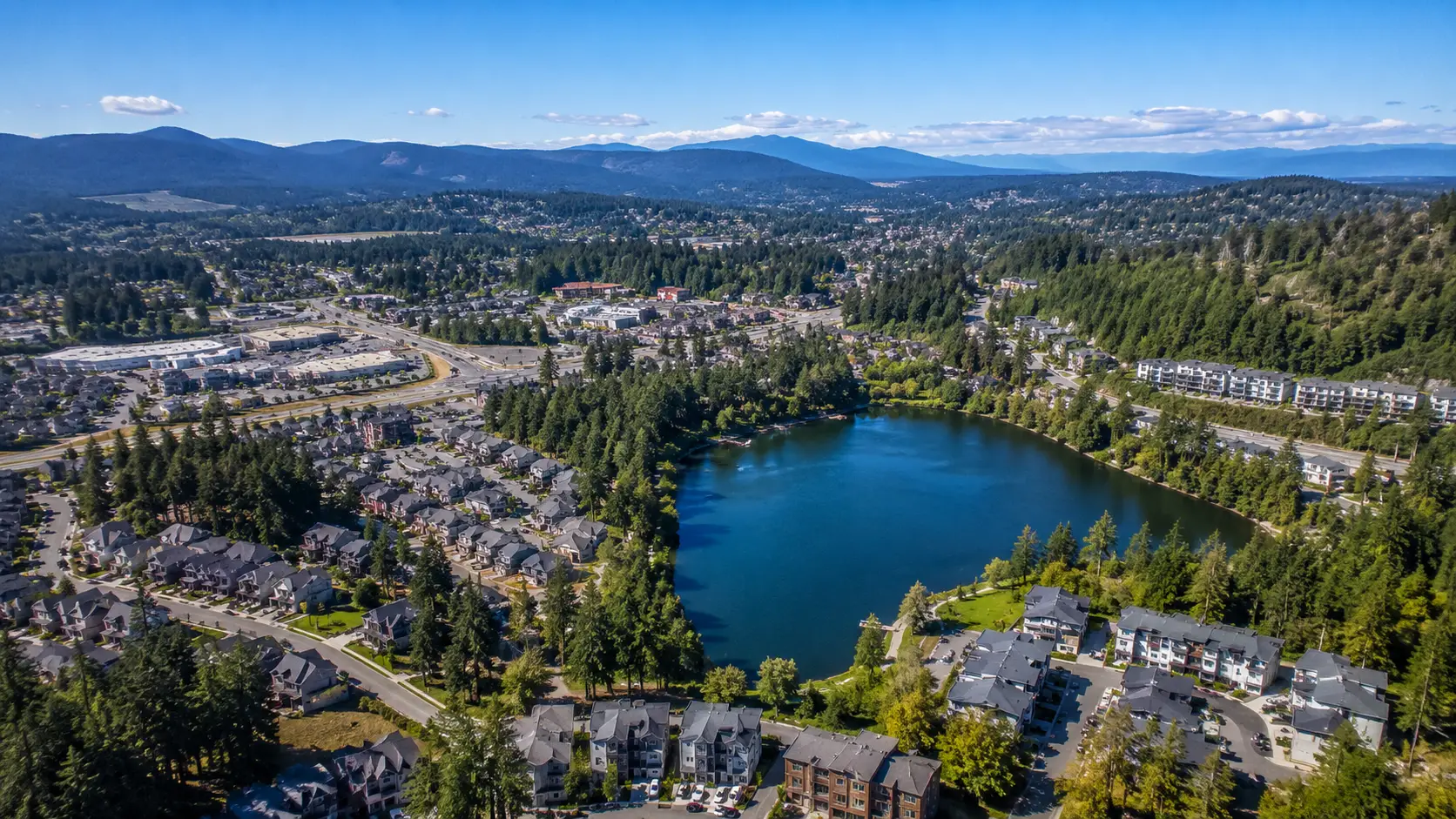 Pacific Pro appliance repair in Langford, BC